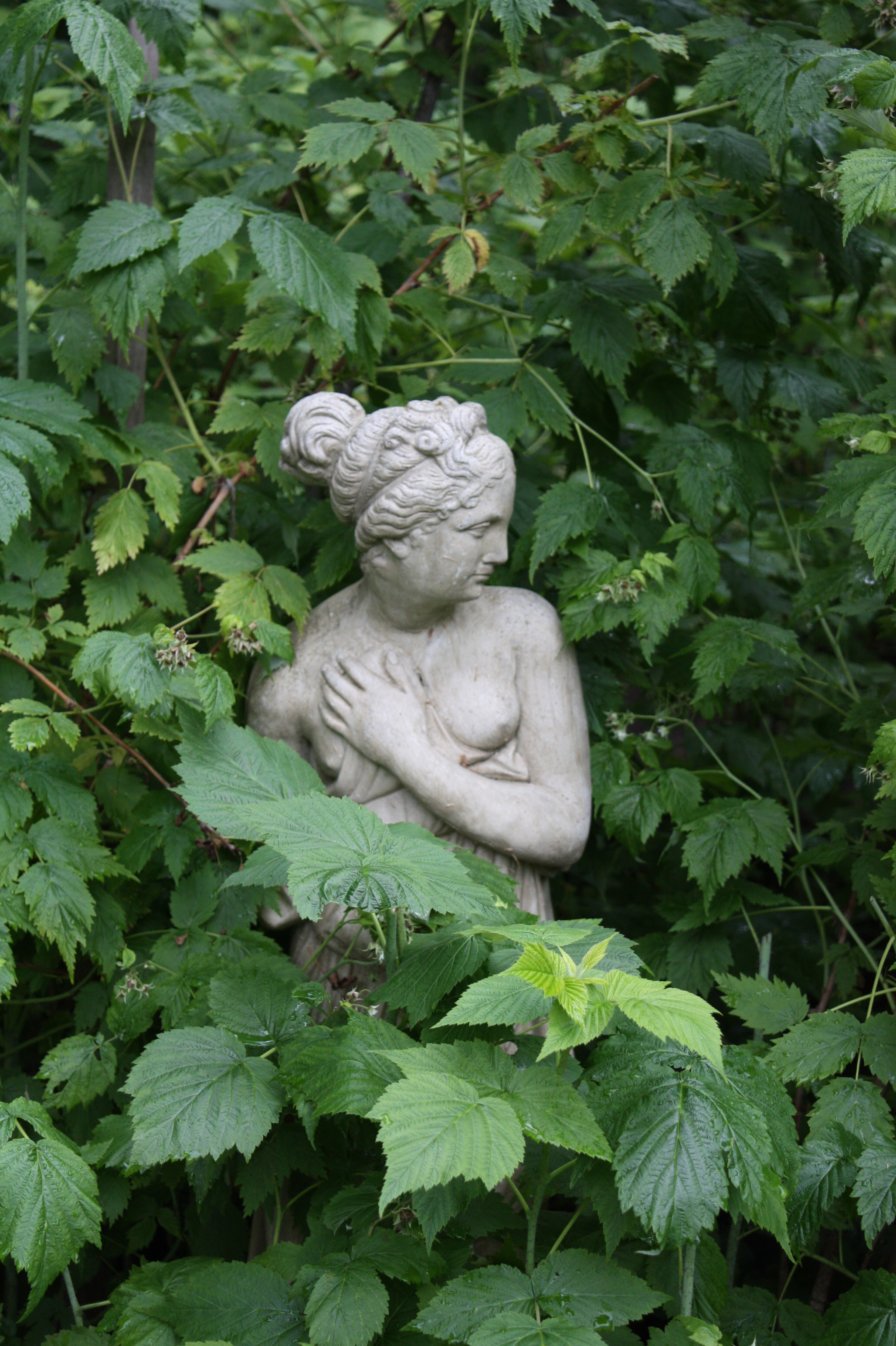 Urban Gardens the Most Interesting: Magical Gardens of Leaside
